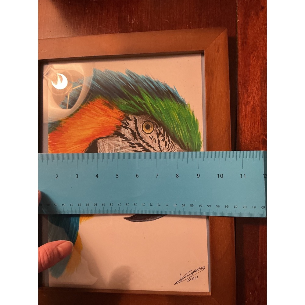 Signed 2019 Macaw Parrot Portrait Art on Kodak Film Framed 10x13 Tropical Bird - Picture 6 of 7